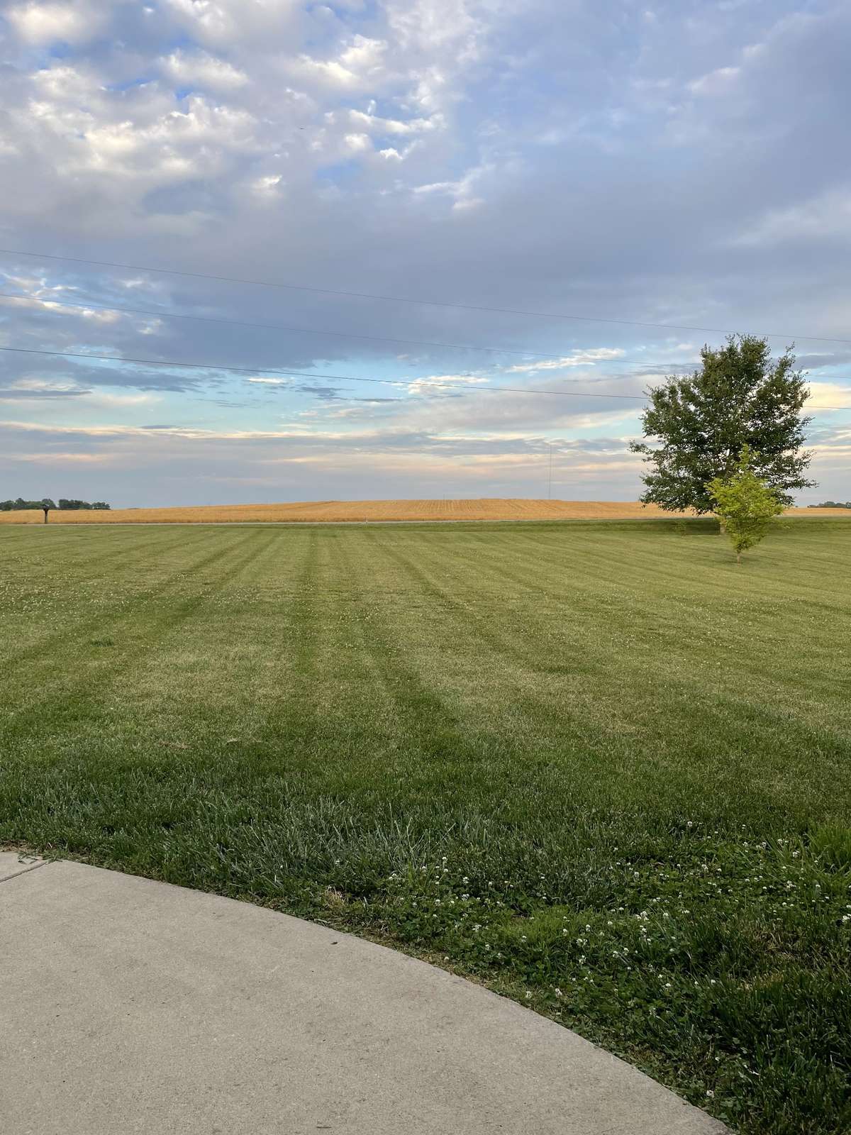 View from the Front Door