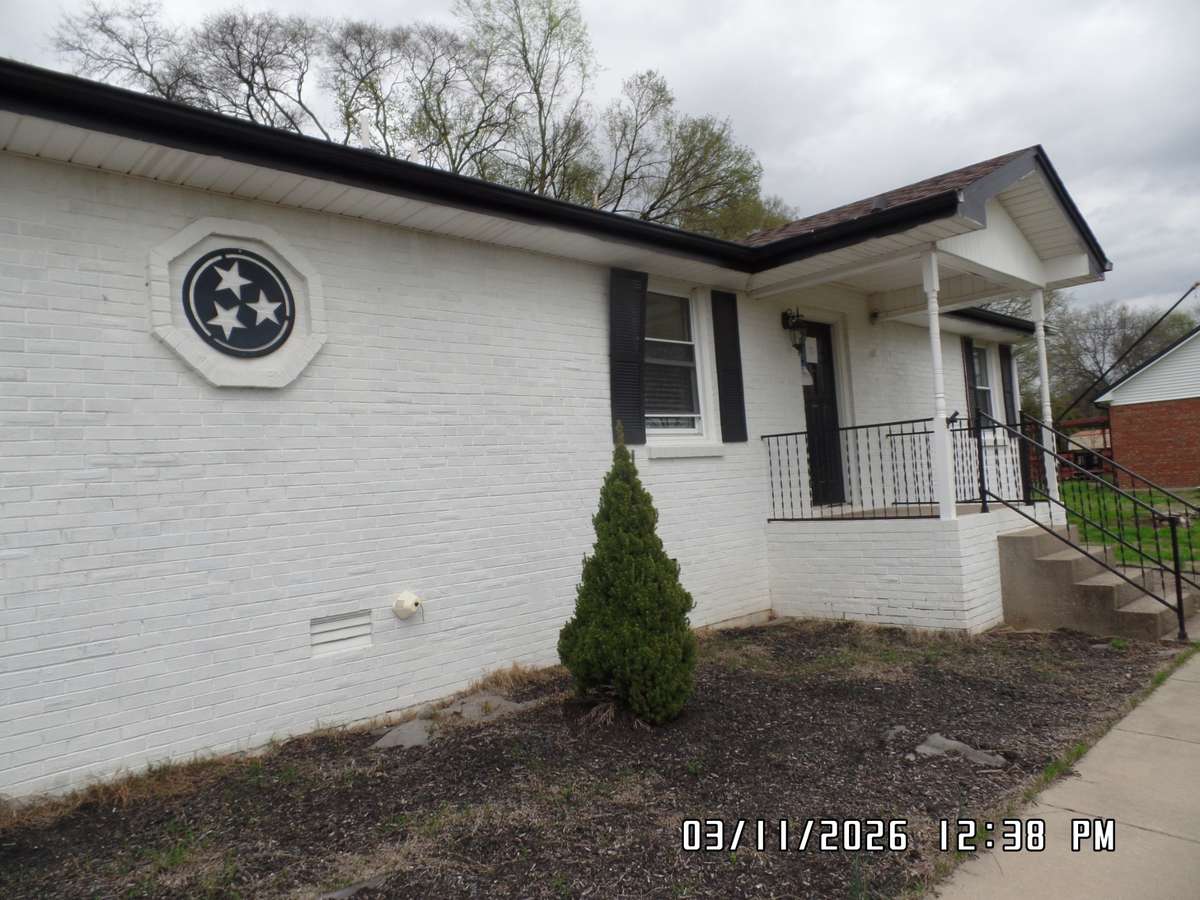 Front view 1