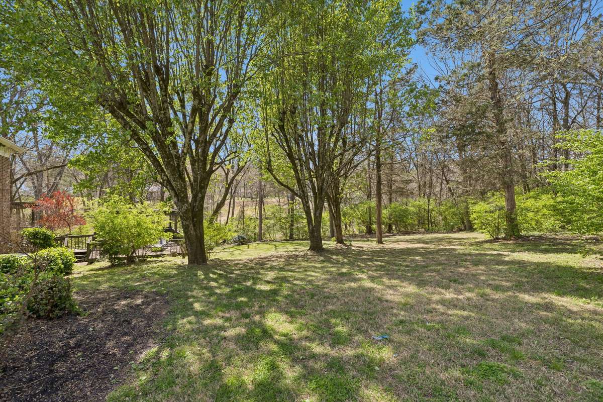 Plenty of space for swingset or small dipping pool.