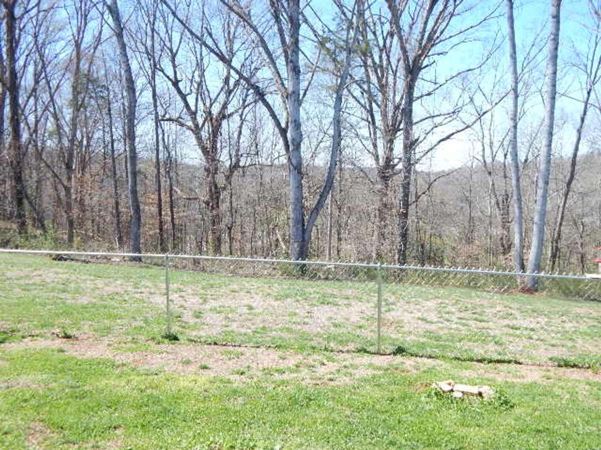 View of back yard