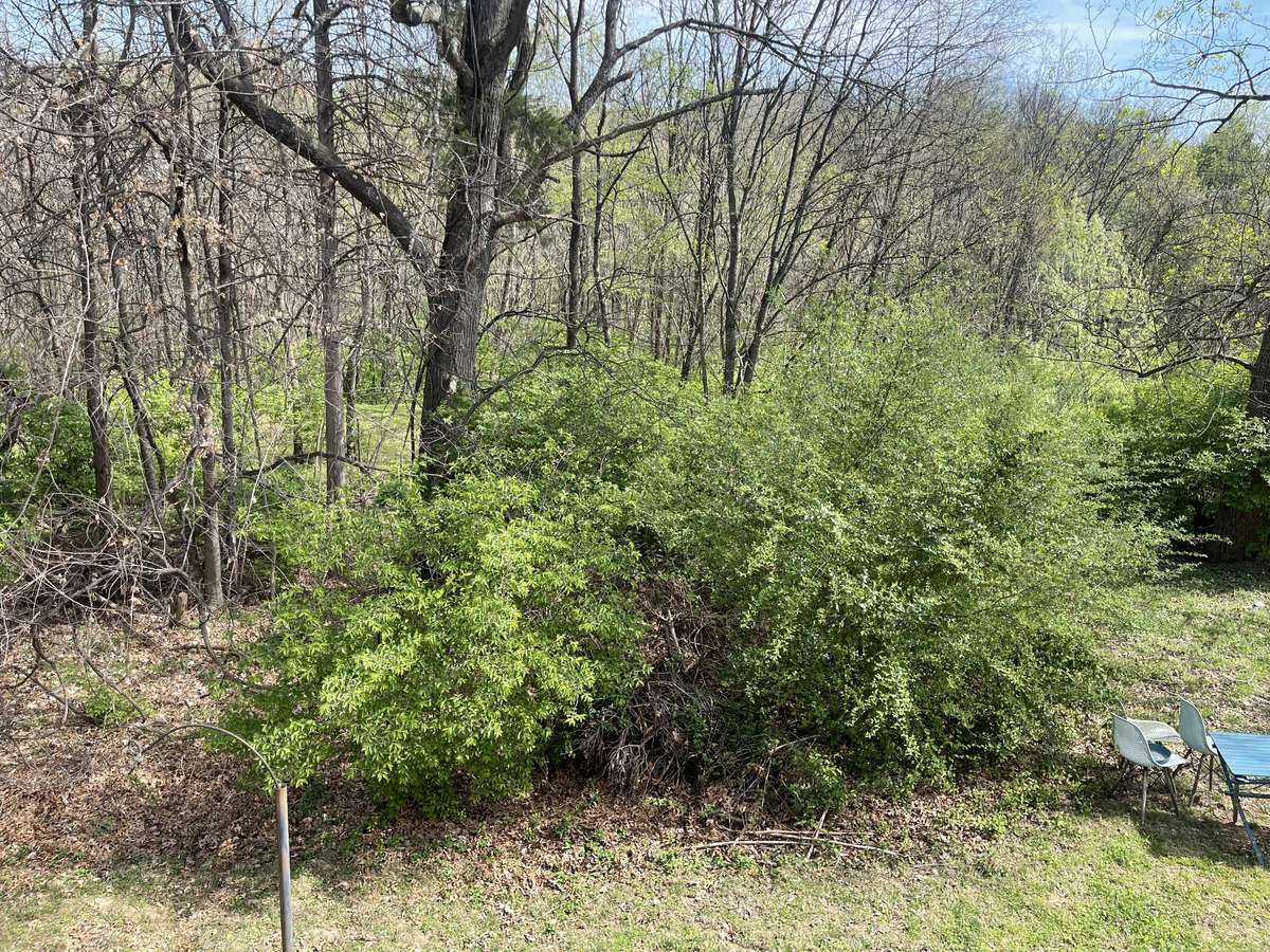 Don't miss your chance at this wonderful property!