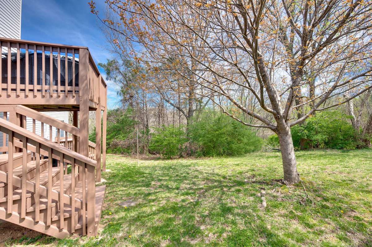 Gorgeous Backyard!