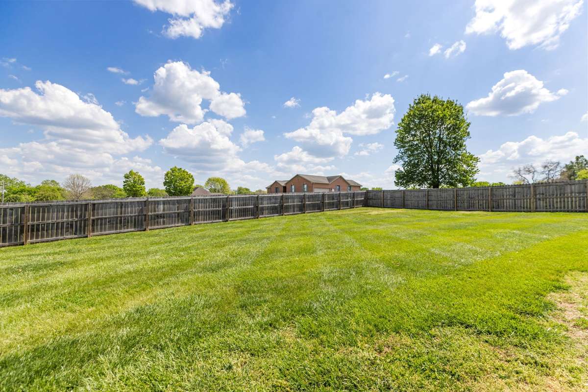 Huge newly fenced back yard