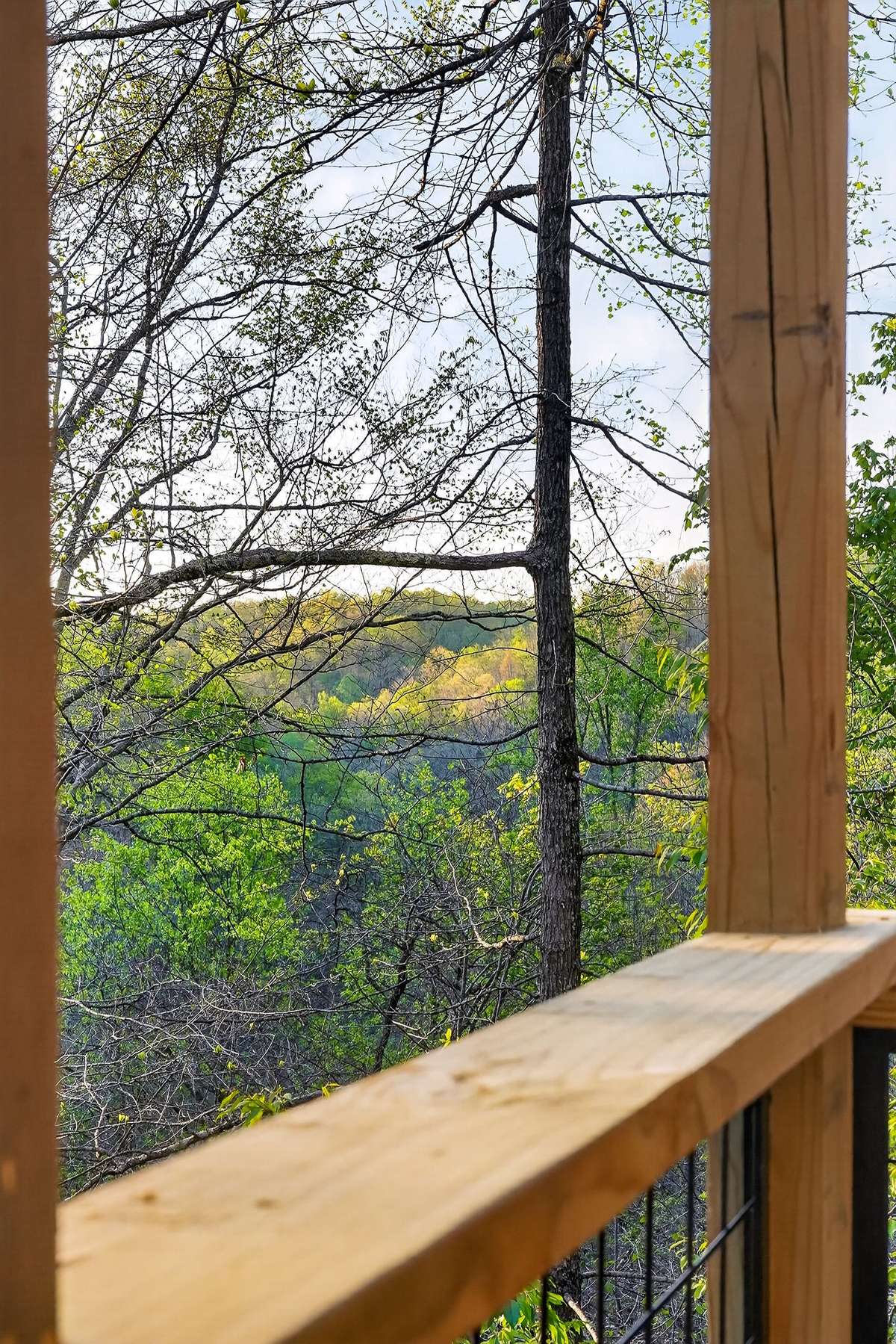 Wooded seclusion
