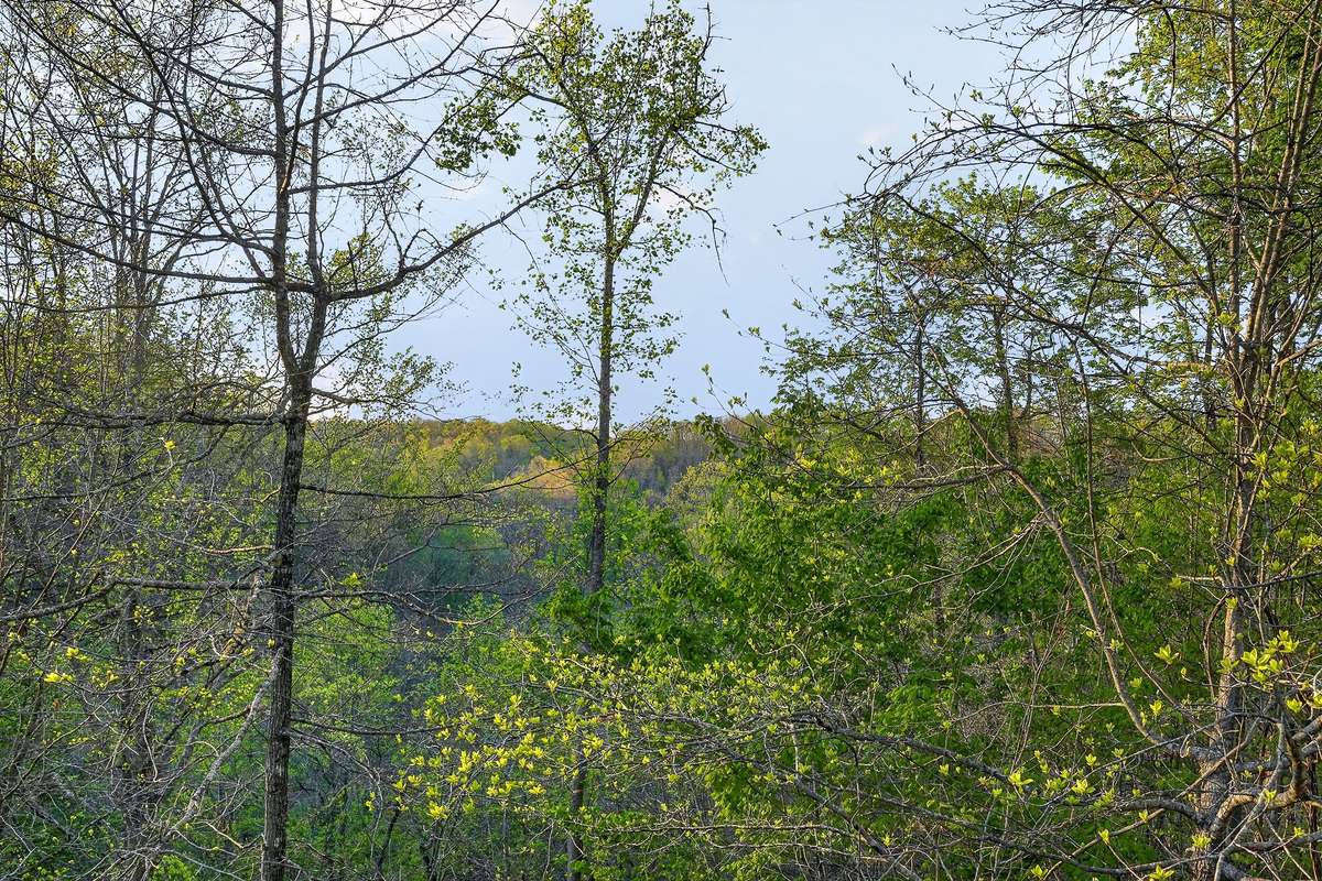 Private wooded escape