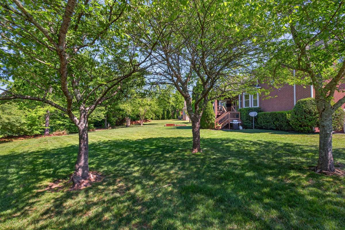 A wider view of the spacious backyard from the haven of a trio of shade trees!