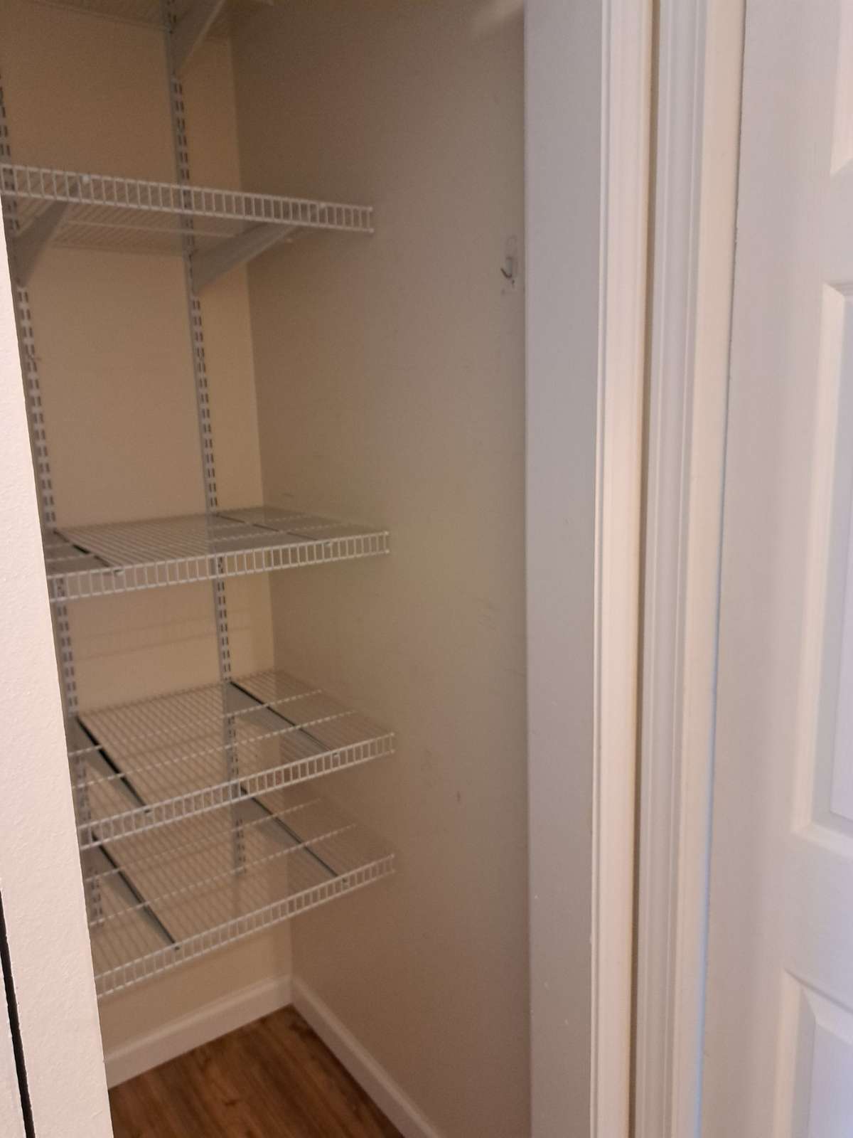 View inside pantry - adjustable shelving