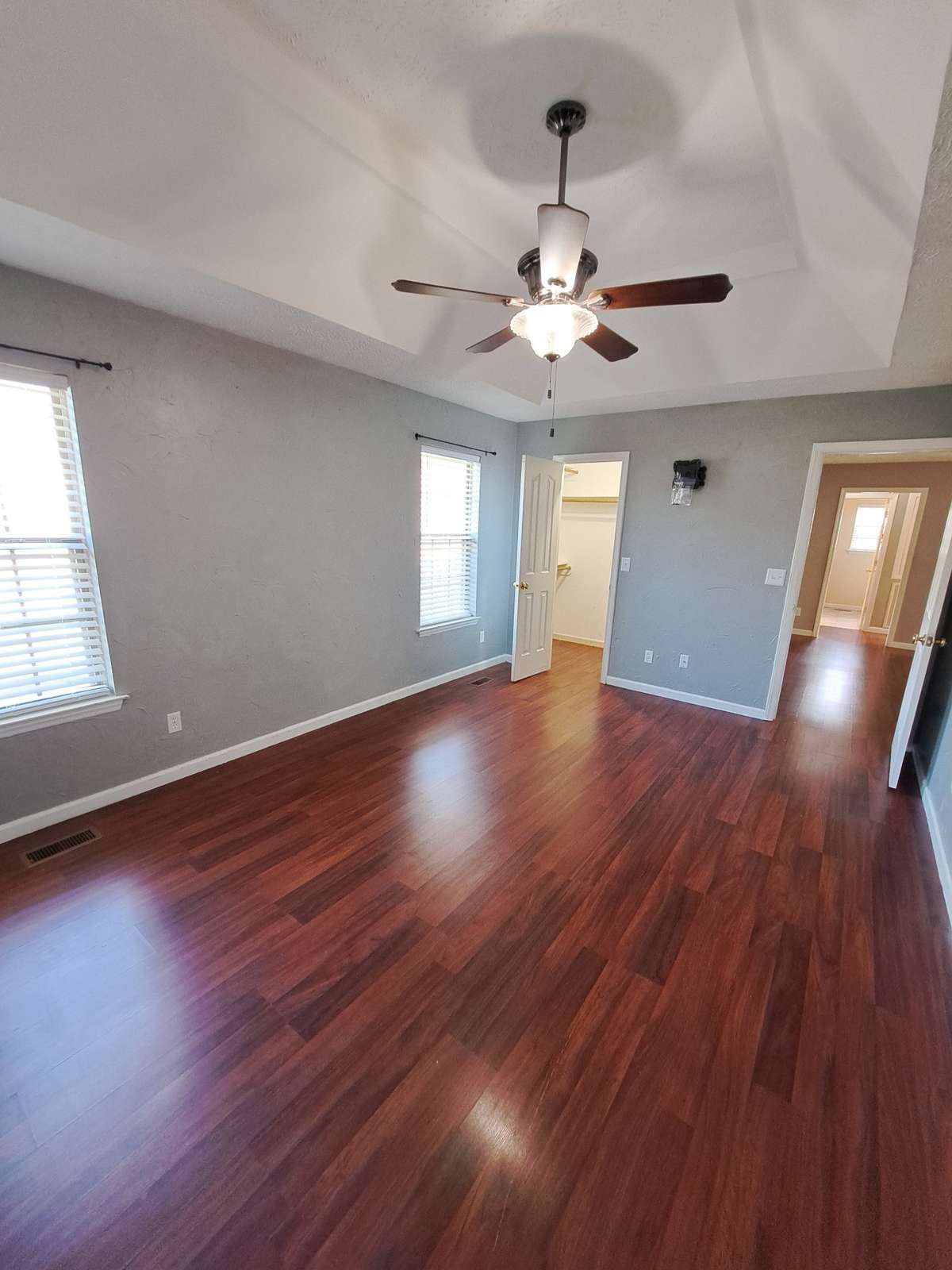 Trey ceiling, large walk-in closet