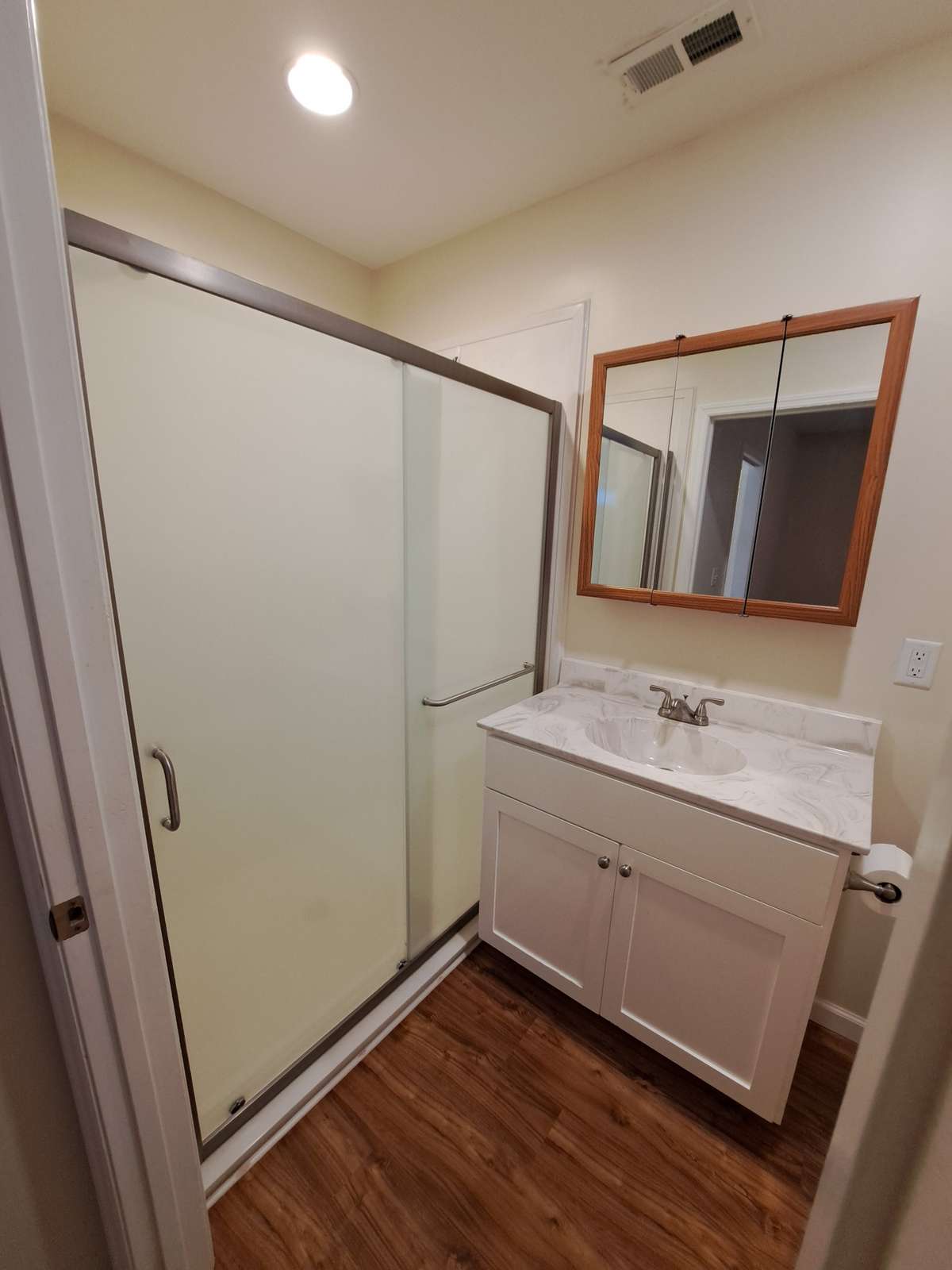 Large walk in shower and another medicine cabinet/mirror