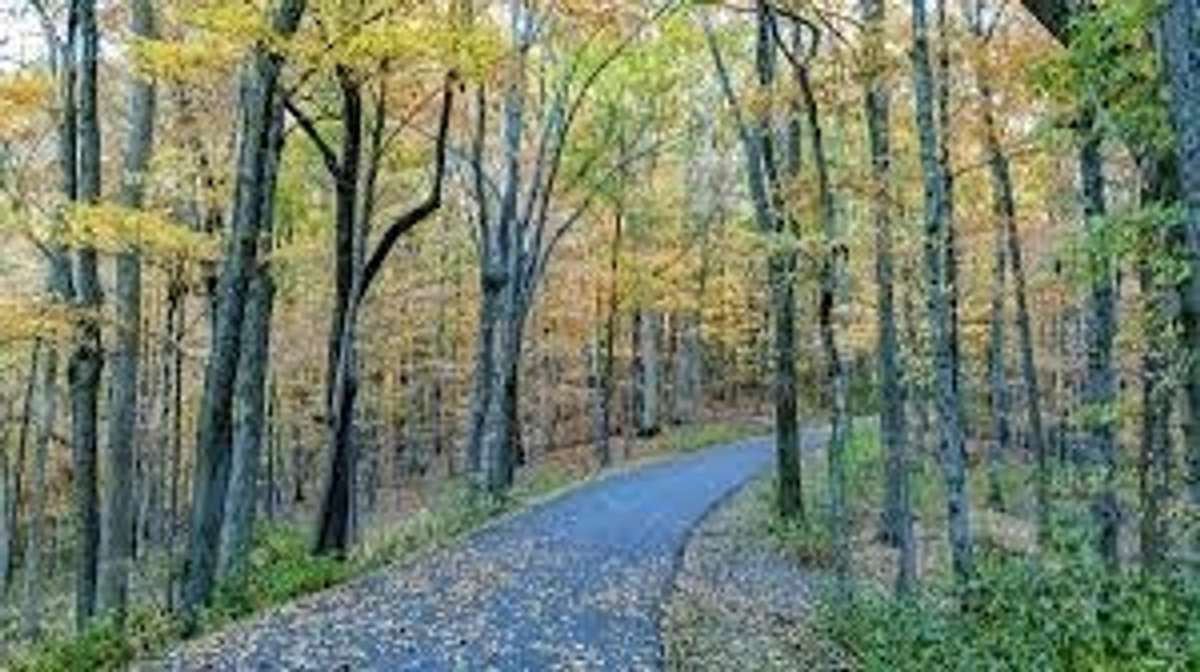 Miles of trails and meandering "car free" roads in the park, just across the street.