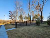 Dog Park