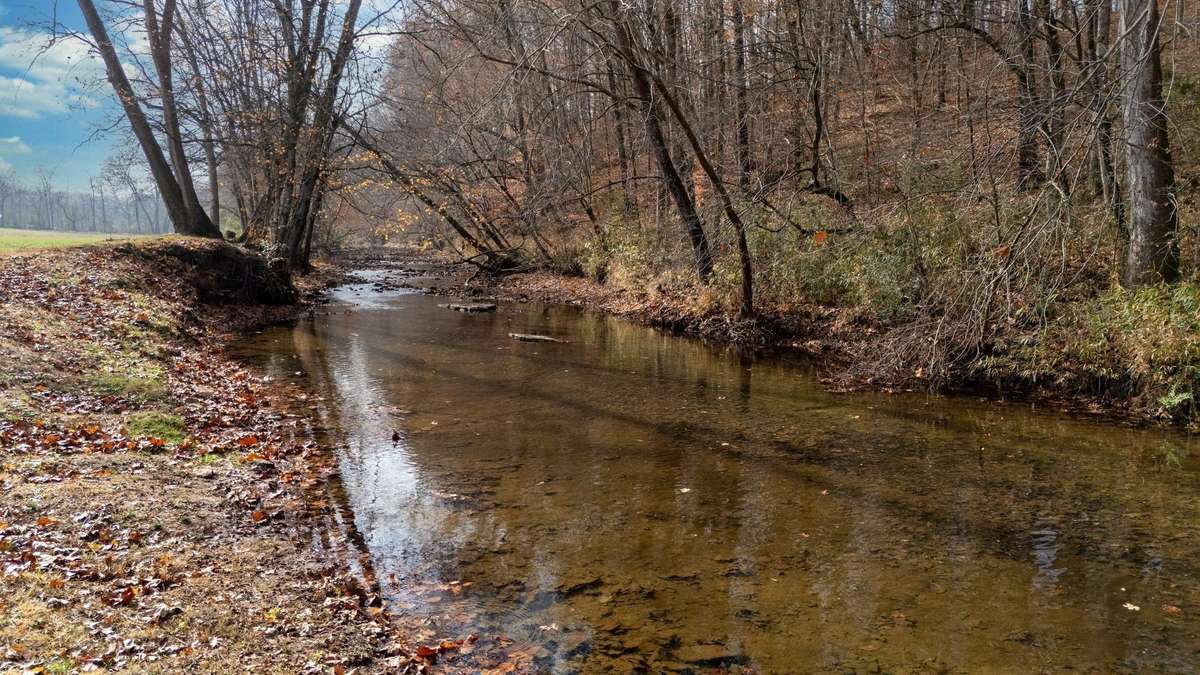 FULL FLOWING CREEK!!!!
Year Round per Seller