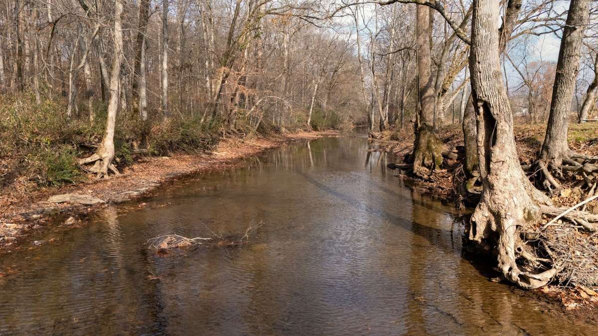 SLATE BOTTOM Creek is Way at the Back of the Property 
(Note: Not Full Slate but some Slate Rock)