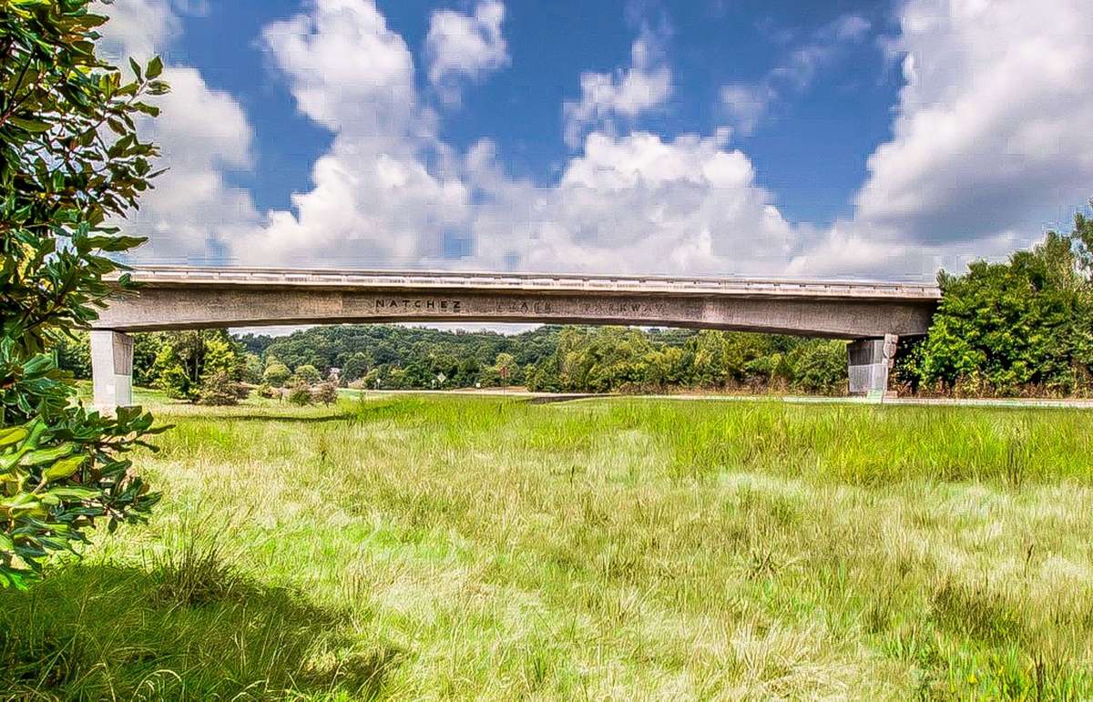 Natchez Trace Parkway entrance is close at hand as well. Biking? Sunny Day exploring? A beautiful way to enjoy the weekend!