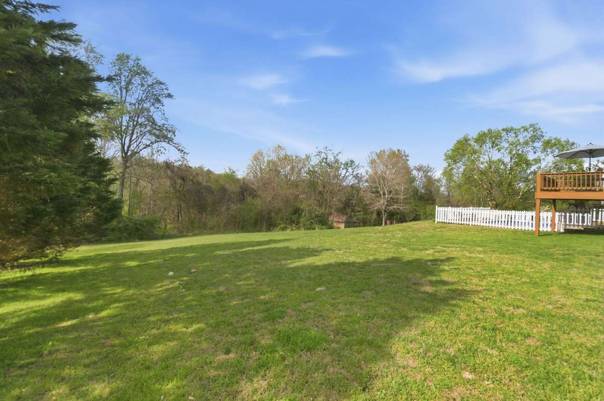 Large open backyard with gently rolling green space and mature trees, offering privacy and room for outdoor activities.