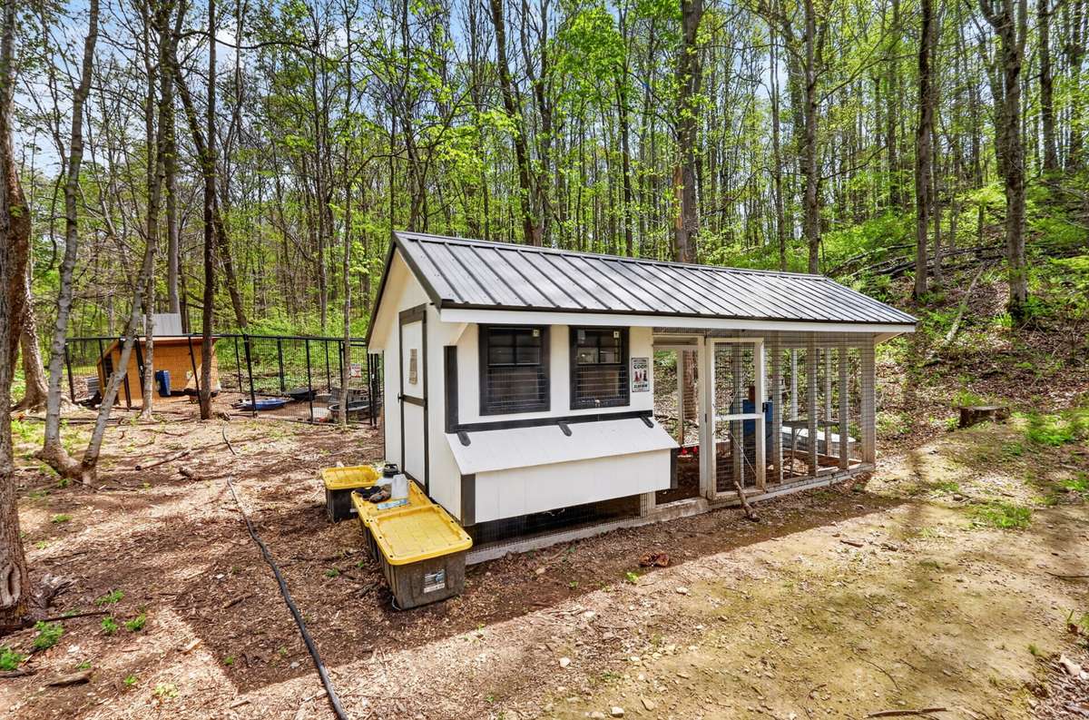 Chicken coop conveys
