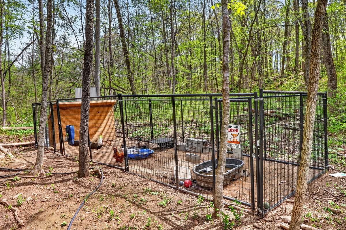 Livestock enclosure conveys