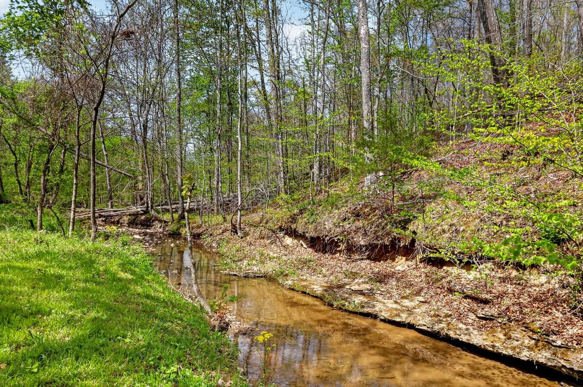 Enjoy peaceful creek views from the deck.
