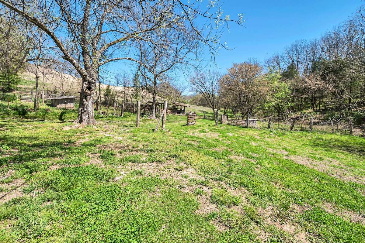 Behind the buildings, you'll walk through the holding area.  This is well fenced with multiple gates for moving livestock as well as some holding pens.