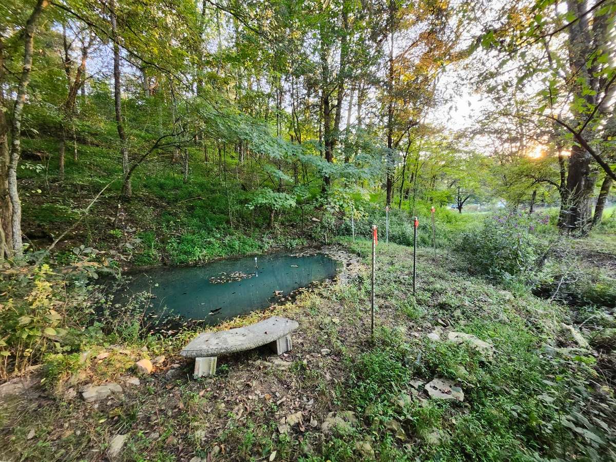 Just a short walk from the holding pen is the spring.  It has been enhanced to provide year round water.