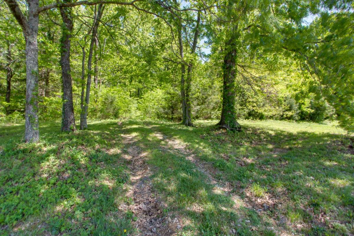 Seller had trails cut through the woods in the past which may now have overgrowth but should be easier to recreate if desired.