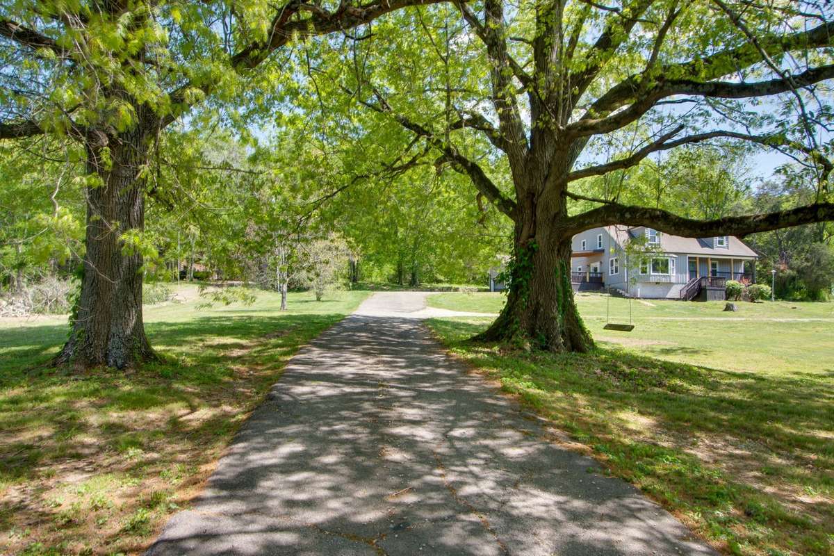Storybook entrance with two gorgeous trees flanking the driveway.