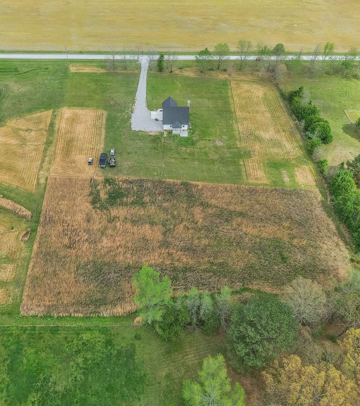 Property lines basically follow the tree lines