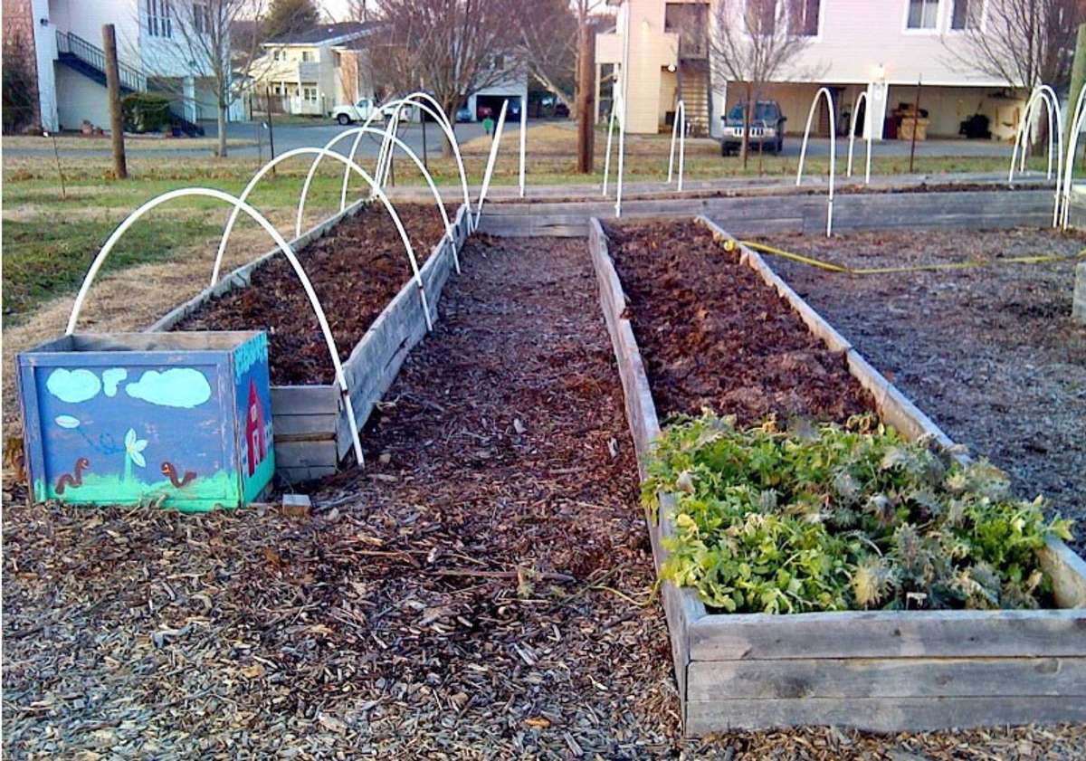 Community Garden..