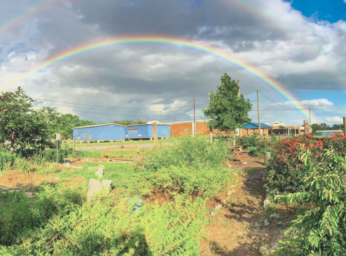 Join in the Community Garden and plant your favorites.