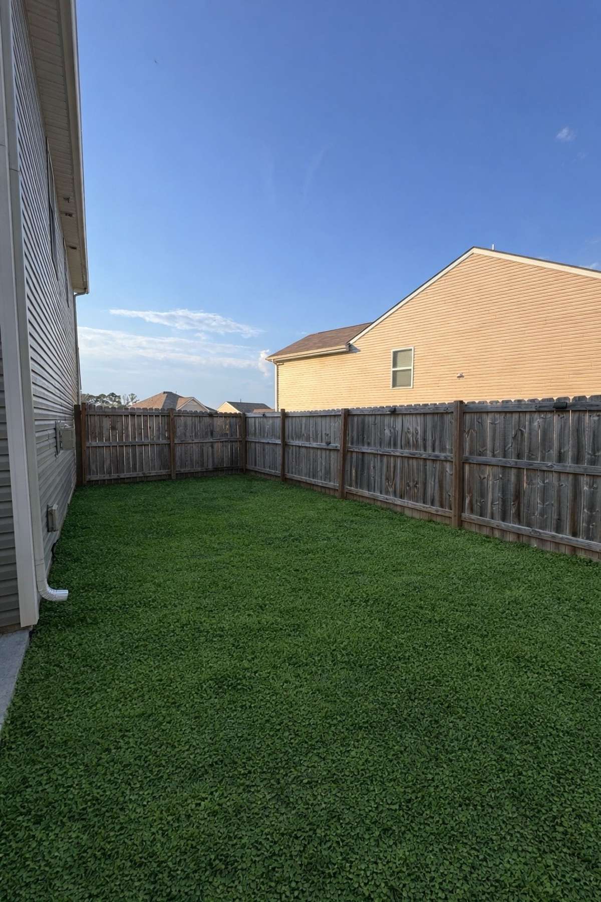 Side Back yard