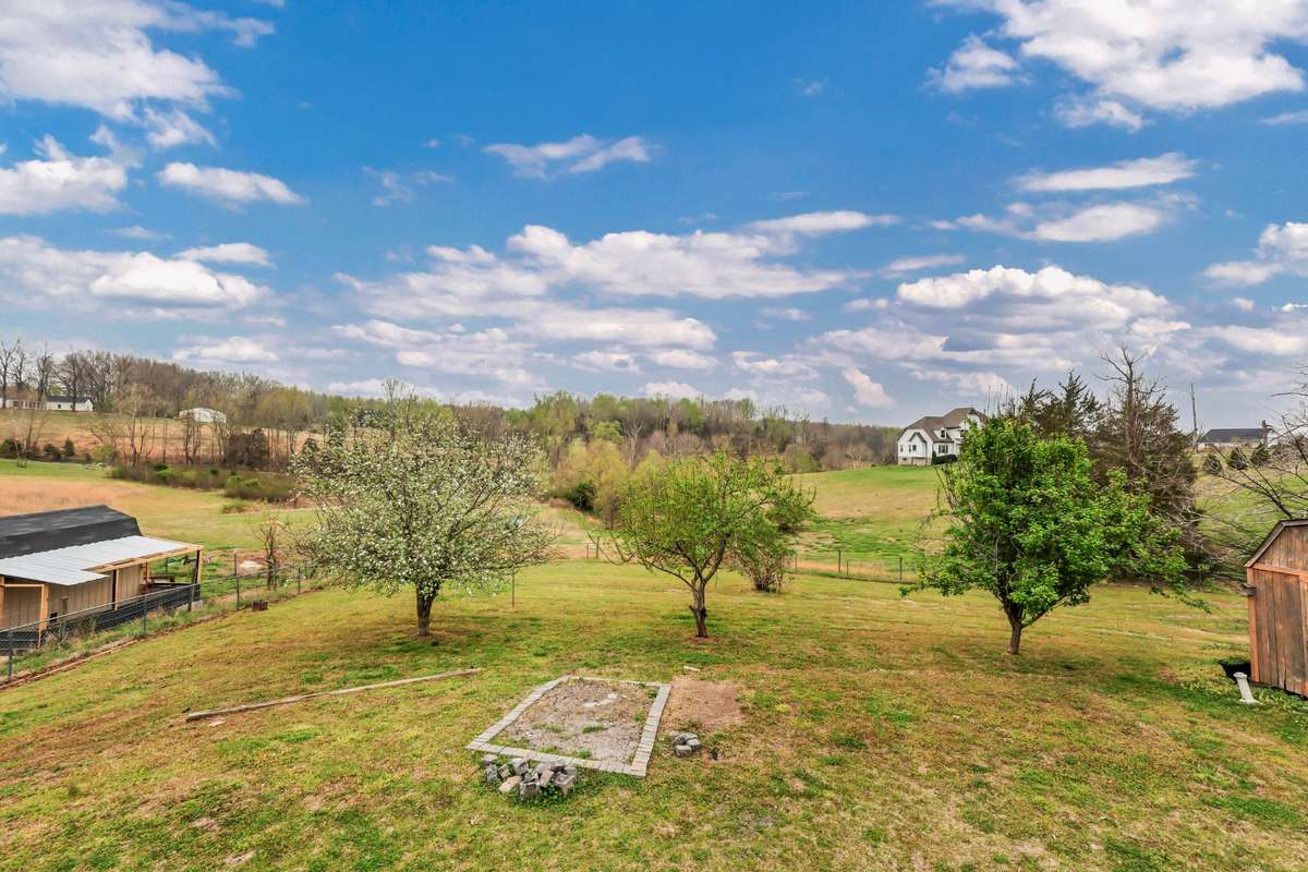 View of backyard