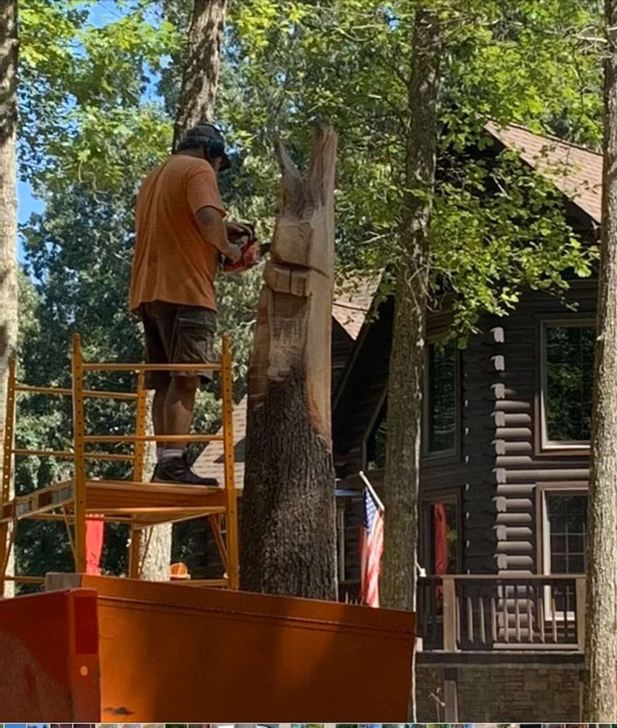 Making of the Totem Pole from existing tree in front of house