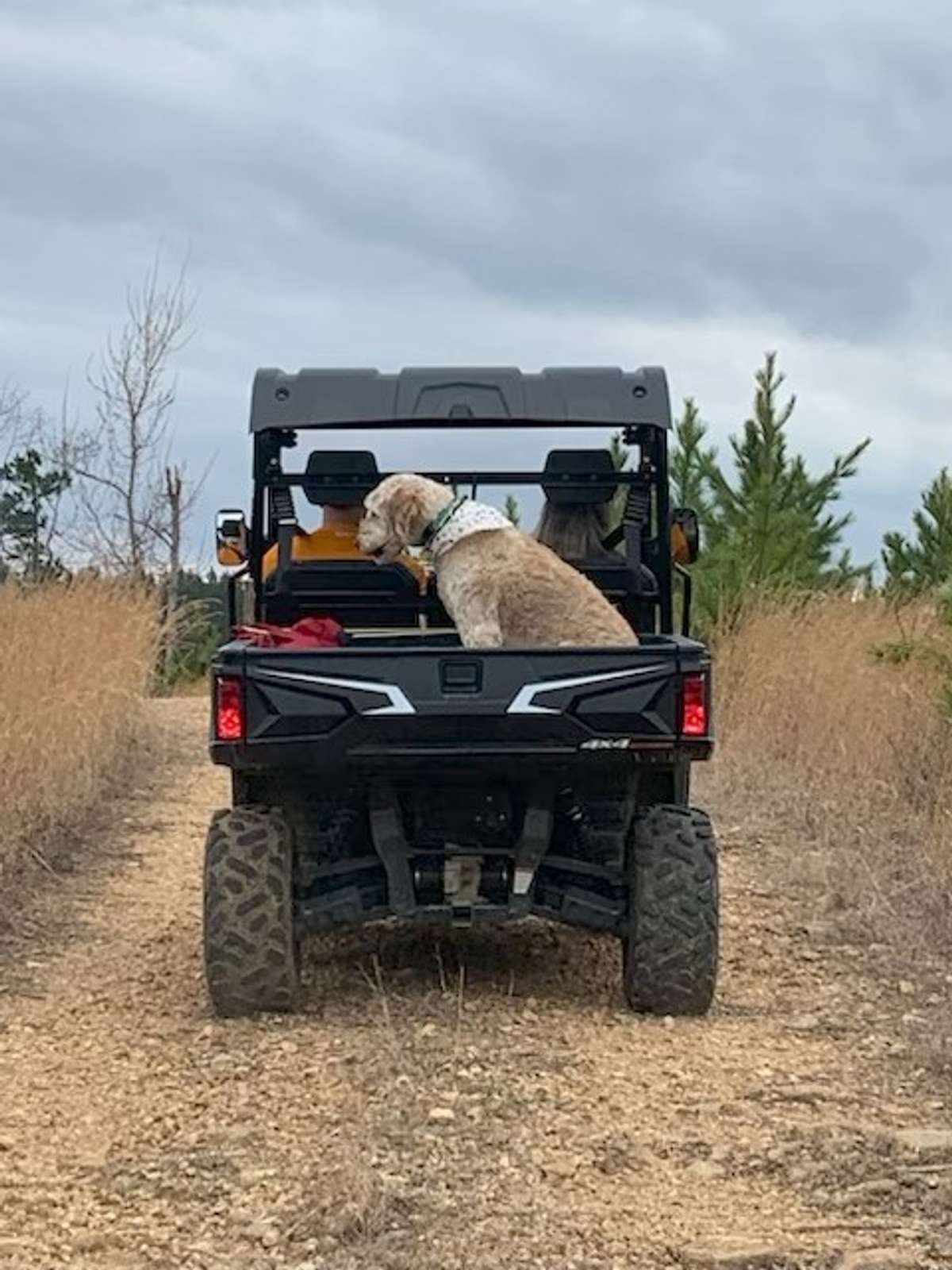 Enjoy trail riding, hunting at the Eagle Creek Wildlife Management - 22,000 acres
