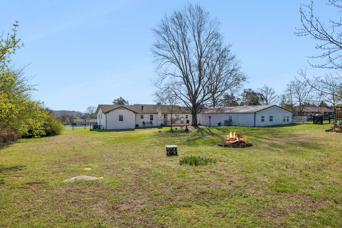 Backyard-
