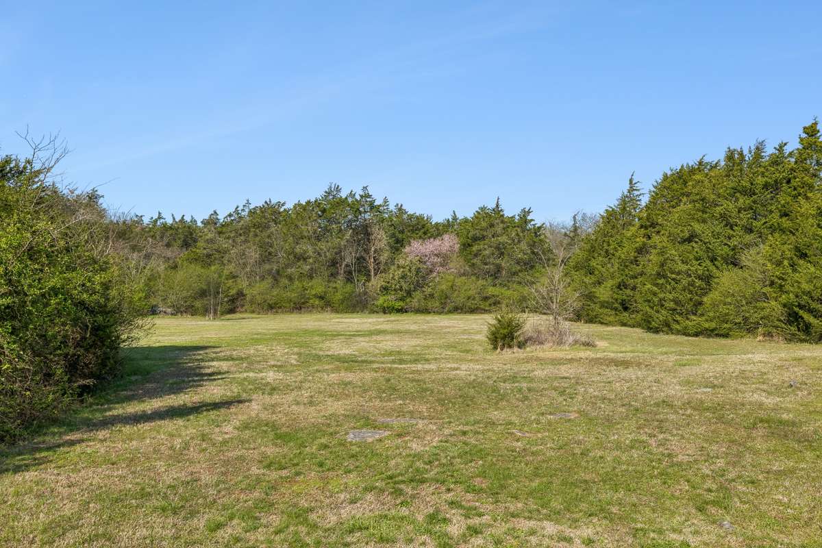 Wooded acreage for exploring and quiet reflection-looking toward the back of the property