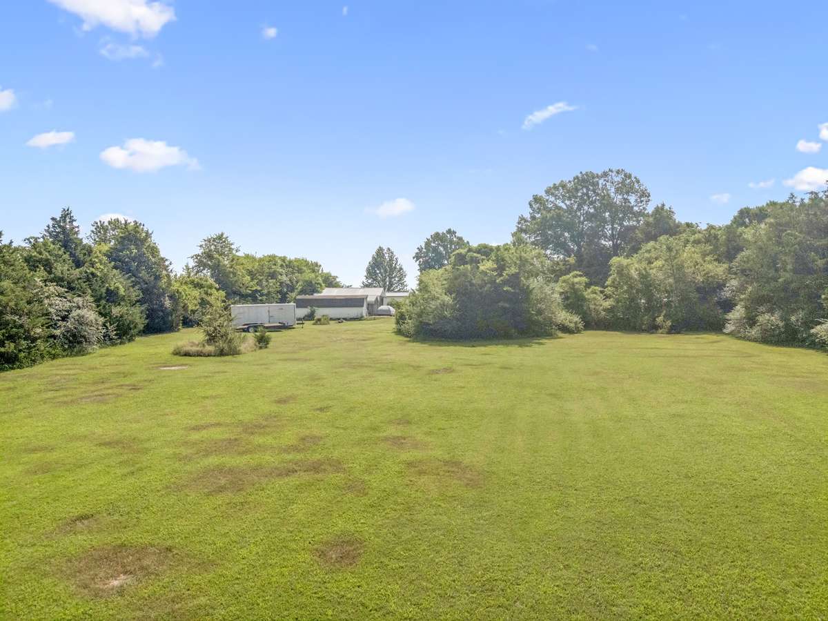 Looking from the back fence toward the street.  There is about 2.5 acres beyond the back fence.