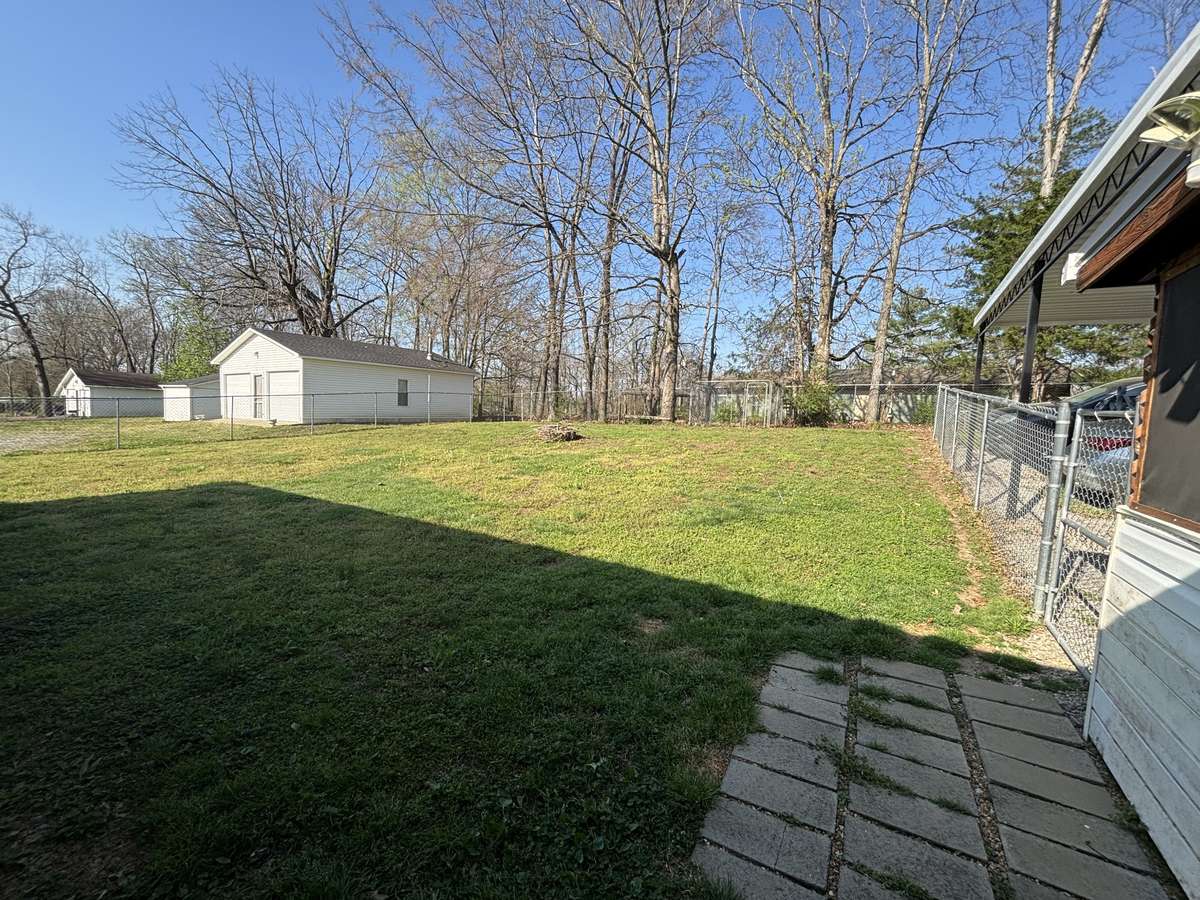 Another View of Back Yard