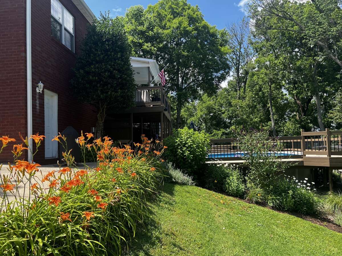 The Lilies and plants were chosen by the seller to accent this back yard just perfect