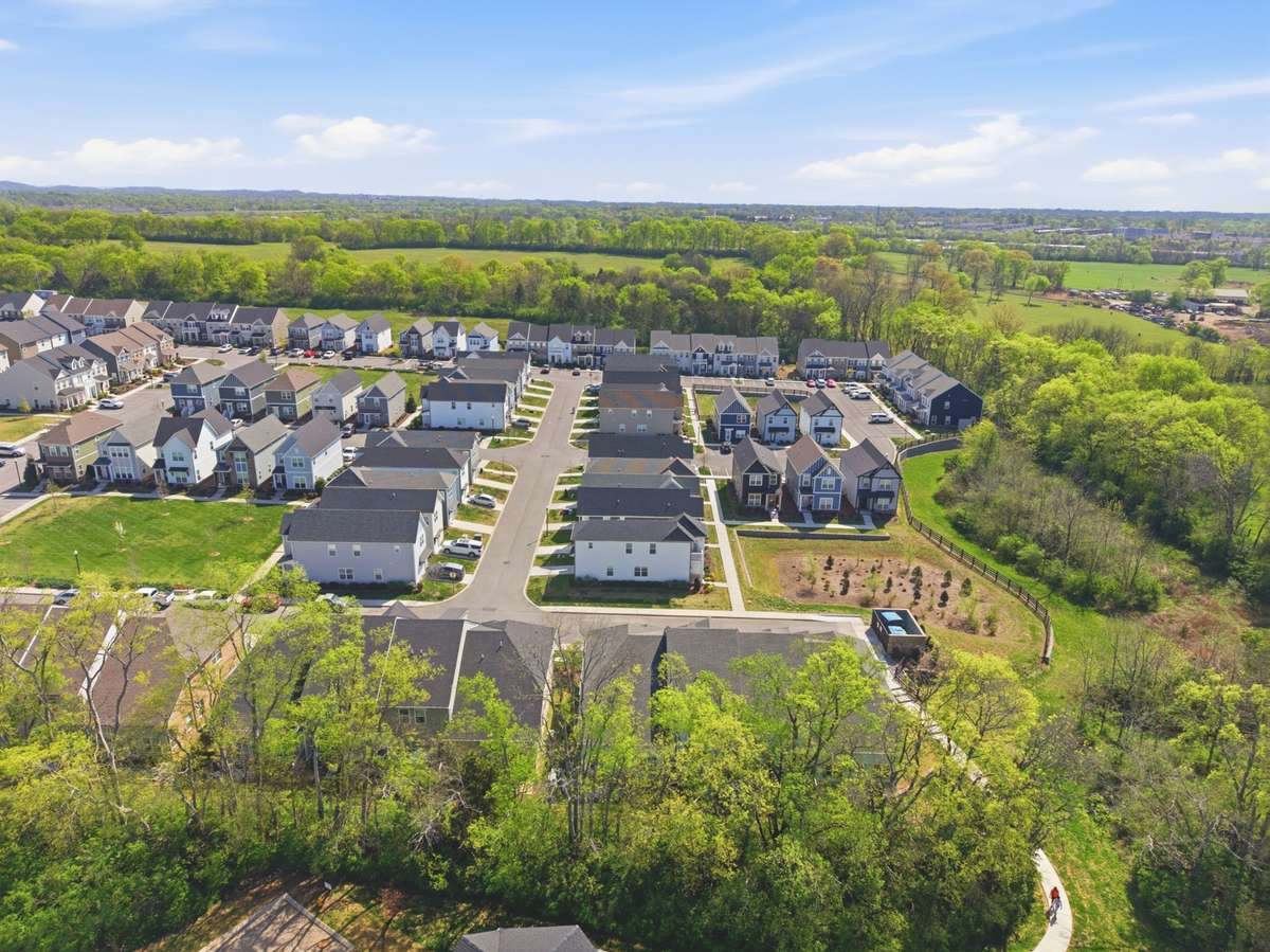 Beautiful neighborhood with sidewalks and wonderful green space