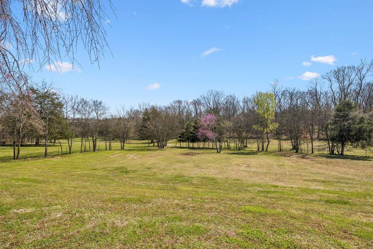 The backyard slopes gently toward the tree line where spring blooms add natural color against the wooded backdrop.