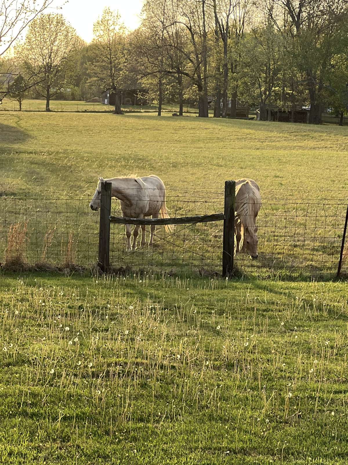 Friendly Neighbors