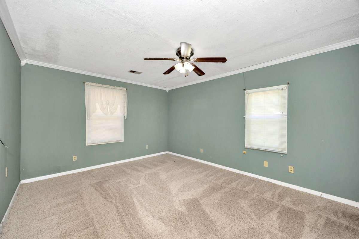 Bedroom- carpet, crown molding, ceiling fan