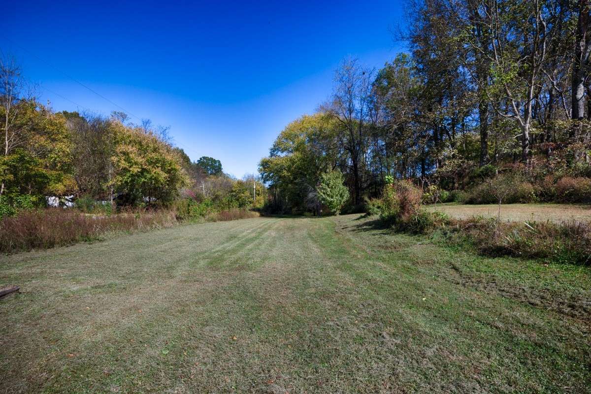 Large yard