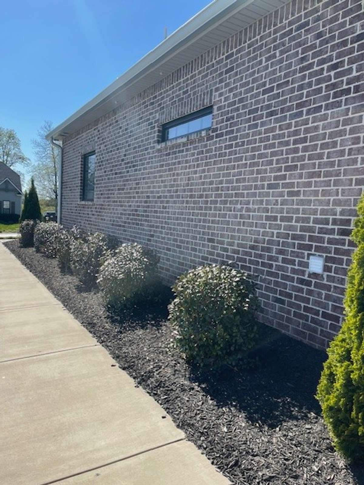 Professional Landscaping