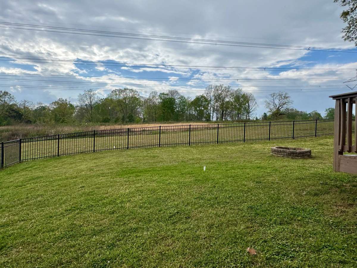 Fenced Backyard area (lot goes beyond fence)