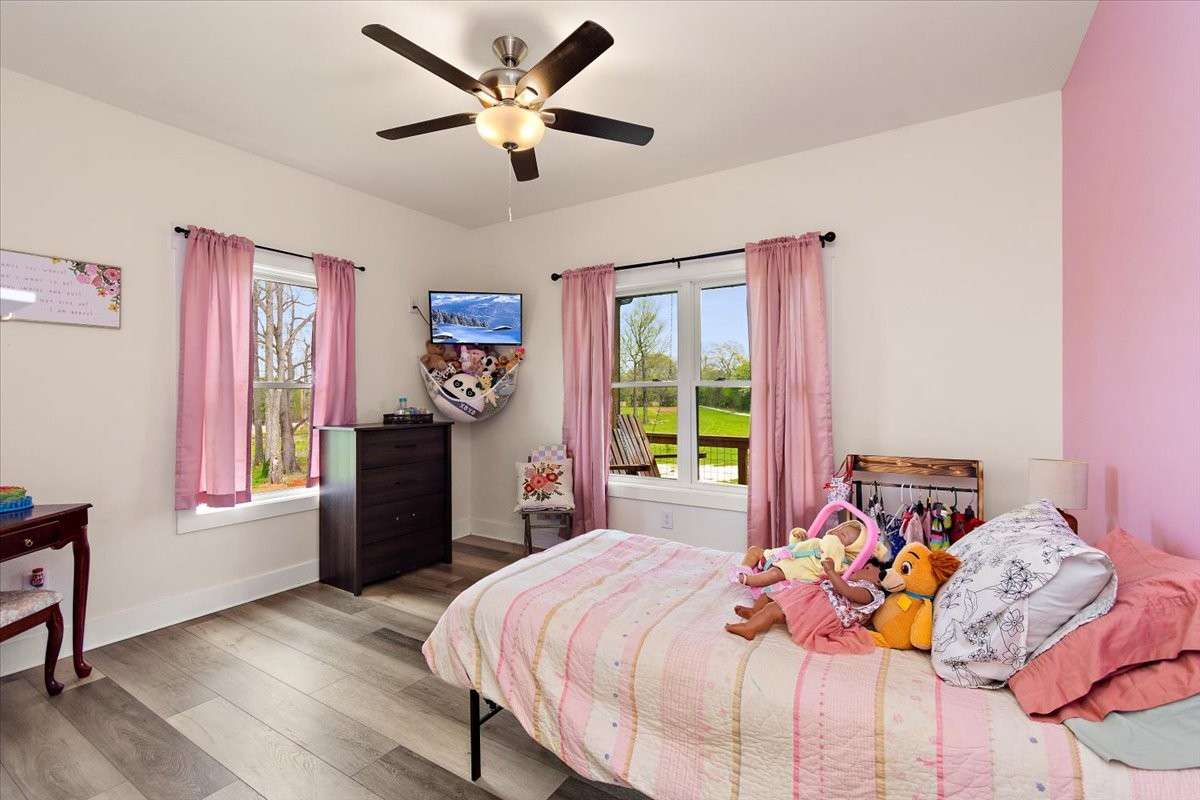 This is the 3rd Bedroom which is bright with the 2 windows.  It has a nice size closet also.