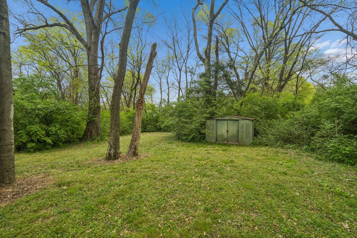 The mature trees provide a natural privacy barrier