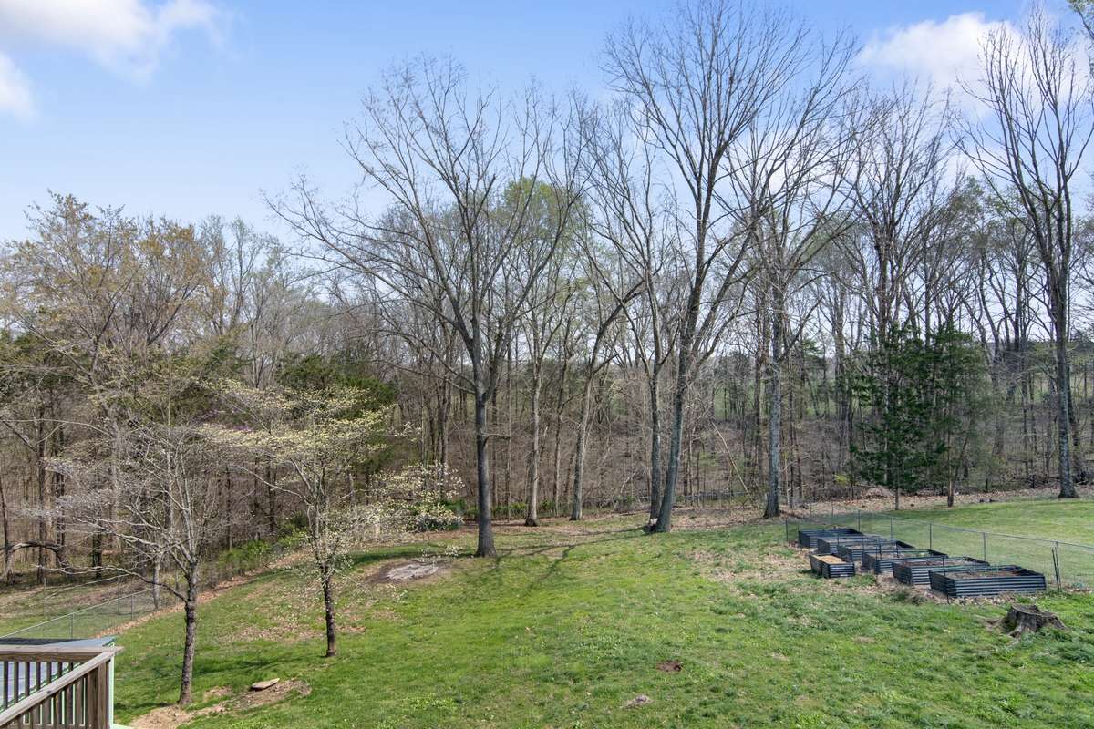 View from deck