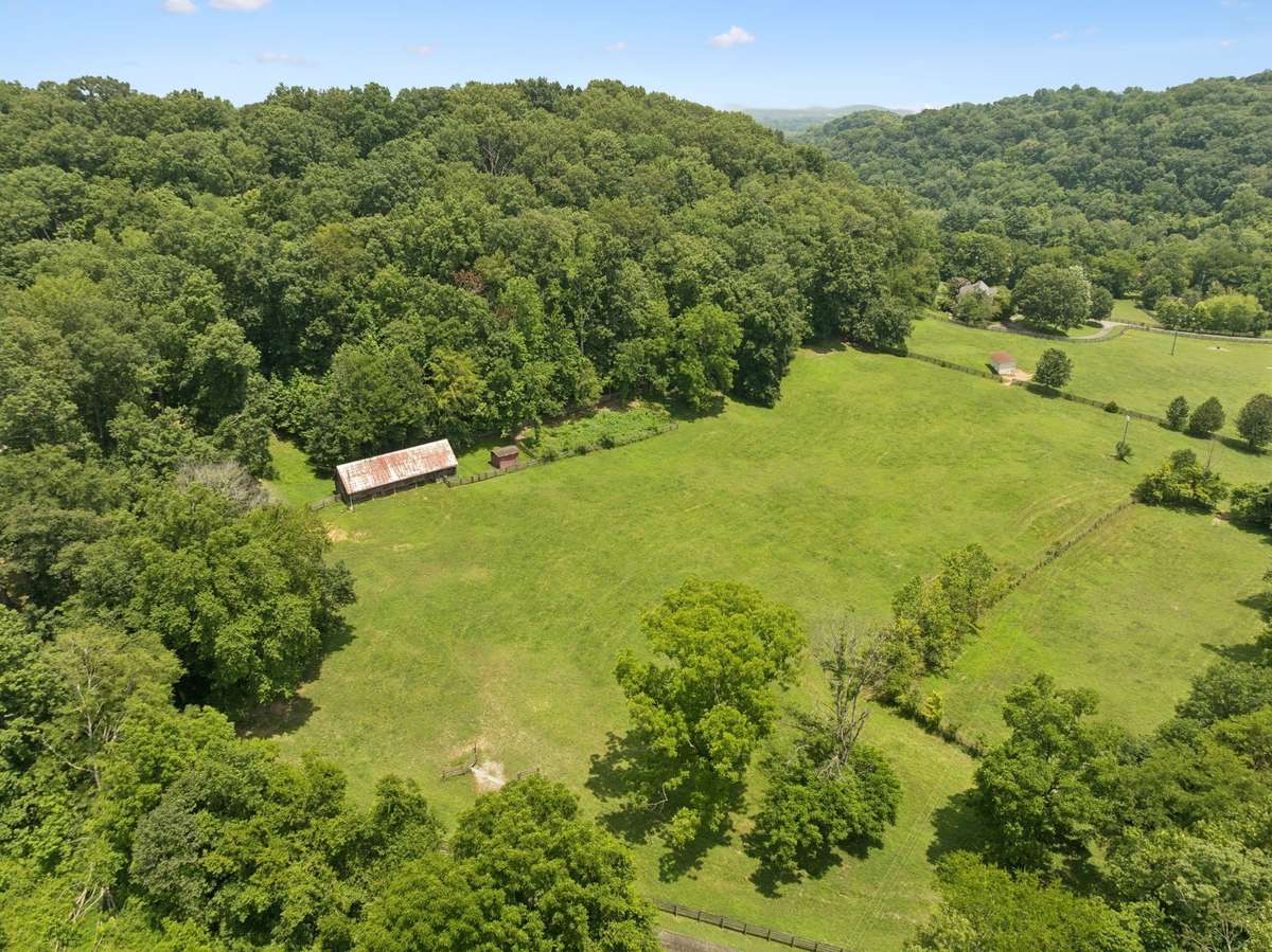 The land benefits from Greenbelt Forestry status, providing potential tax advantages for the next owner.