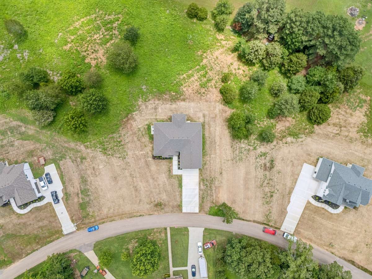 aerial view 3